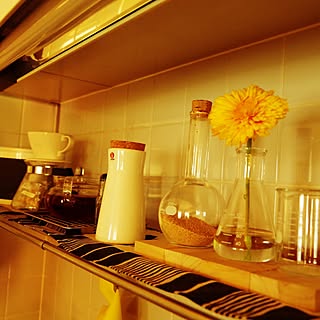 丸底フラスコのインテリア実例 Roomclip ルームクリップ