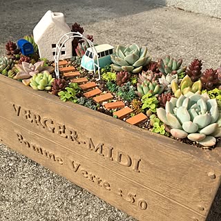 多肉植物 箱庭のおしゃれなアレンジ 飾り方のインテリア実例 Roomclip ルームクリップ