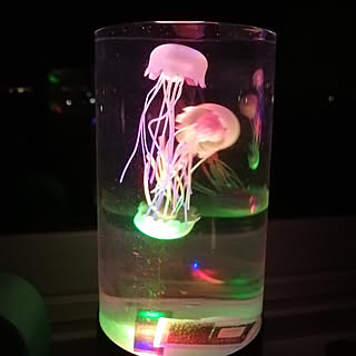 クラゲ好きのインテリア実例 Roomclip ルームクリップ