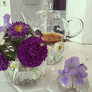 棚/ナチュラル/ビオラ/平田タイル/無垢のドア...などのインテリア実例 - 2016-02-04 16:02:23