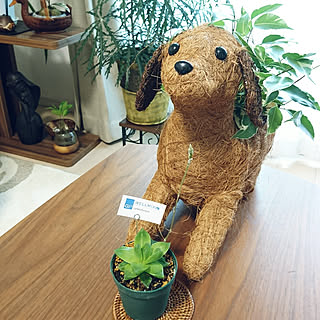 机/ごくごく普通の家/拙い作品ですが…/憧れてたの♥/影響を受けて。。...などのインテリア実例 - 2018-05-06 11:09:14