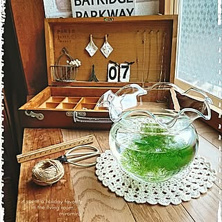 100均 金魚鉢のおしゃれなアレンジ 飾り方のインテリア実例 Roomclip ルームクリップ