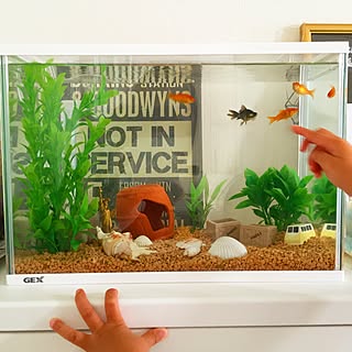 100均 金魚水槽のおしゃれなアレンジ 飾り方のインテリア実例 Roomclip ルームクリップ