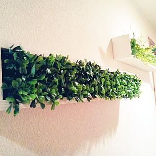 NO GREEN NO LIFE/イベント参加中♥/過去ピックから♥/2016.11.25♥/グリーンインテリア♥...などのインテリア実例 - 2016-11-25 15:53:06