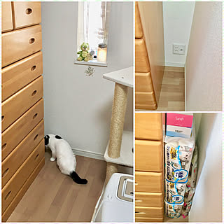 猫用品の収納のアイデア おしゃれなインテリア実例 Roomclip ルームクリップ