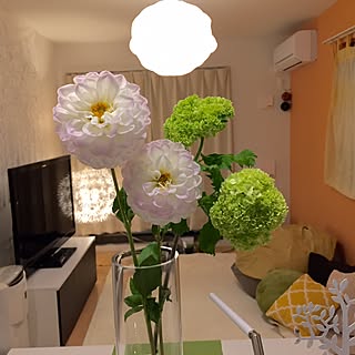 デコレーション壁紙シールのインテリア実例 Roomclip ルームクリップ