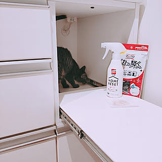 ピカッと輝くシートのインテリア実例 Roomclip ルームクリップ