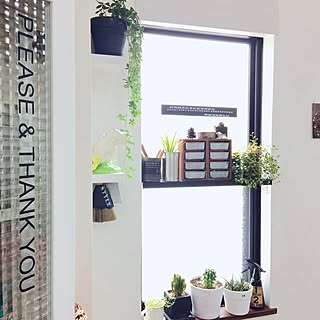 セリア/ワイヤープランツ/サボテン/シュガーバイン/観葉植物...などのインテリア実例 - 2015-02-24 13:33:23