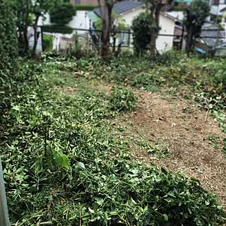 玄関/入り口/HB庭/雑草/お庭/お庭掃除/雑草だいぶ減りました( ்▿்)...などのインテリア実例 - 2014-07-19 12:43:14
