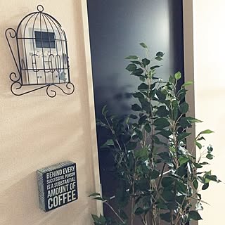 シンデレラフィット/賃貸/賃貸アパート/賃貸でも楽しく♪/鳥モチーフ...などのインテリア実例 - 2016-05-21 15:14:32