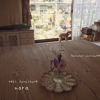 リビング/関家具/nora./ほっこり*/多肉植物...などのインテリア実例 - 2017-05-24 08:48:37