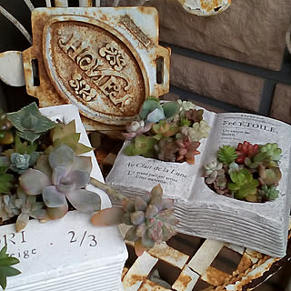 机/NO GREEN NO LIFE/ガーデン/ガーデニング/ガーデン雑貨...などのインテリア実例 - 2020-02-24 16:49:30