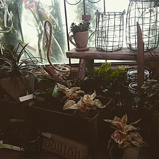 ガーデニング雑貨 お花屋さんのインテリア実例 Roomclip ルームクリップ