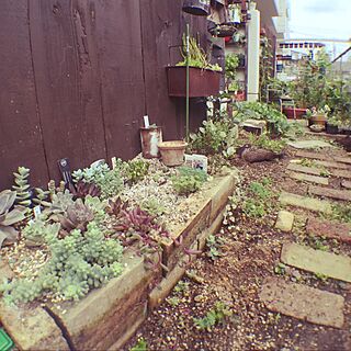 ガーデニング マンションの庭のインテリア実例 Roomclip ルームクリップ