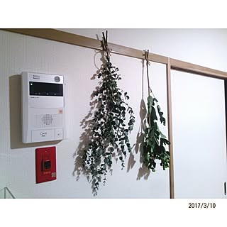 ドライフラワー ヒペリカムのおしゃれなアレンジ 飾り方のインテリア実例 Roomclip ルームクリップ