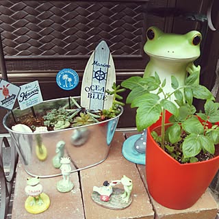 玄関/入り口/植物/日替わり投稿企画!木曜日/ハワイアン雑貨/いつもいいねありがとうございます♡...などのインテリア実例 - 2017-07-06 14:11:21