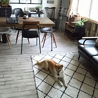 ベッド周り/お散歩帰り✨/ダイニングテーブル/いいね、フォロー本当に感謝デス☺︎/おはようございます(*^^*)のインテリア実例 - 2017-04-17 09:04:26