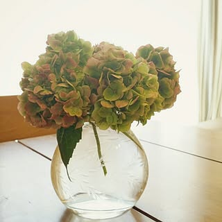 紫陽花 切り花のインテリア実例 Roomclip ルームクリップ