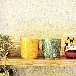 棚/バーズワース/コーヒーセット/観葉植物/エアープランツ...などのインテリア実例 - 2016-02-10 20:52:05