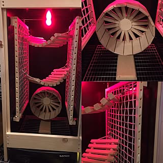 Diy ハリネズミのインテリア 手作りの実例 Roomclip ルームクリップ