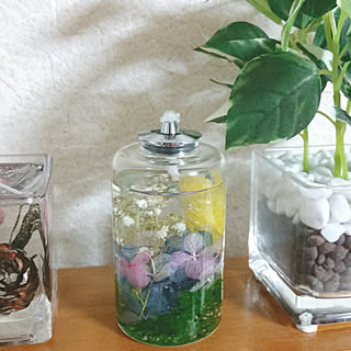リビング/オイルランプ/ボタニカル/狭くても住めば都/賃貸でも諦めない!...などのインテリア実例 - 2018-02-28 22:53:36