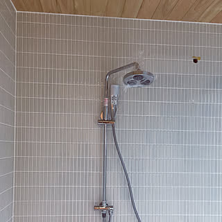 オーバーヘッドシャワーのインテリア実例 Roomclip ルームクリップ