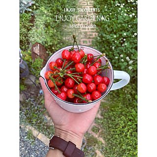 庭 さくらんぼの木のおしゃれなインテリアコーディネート レイアウトの実例 Roomclip ルームクリップ