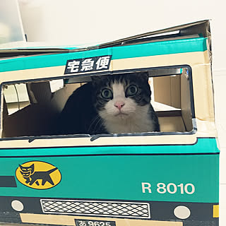 ウォークスルーボックス ヤマト運輸のインテリア実例 Roomclip ルームクリップ