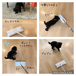 趣味 親バカのインテリア実例 Roomclip ルームクリップ