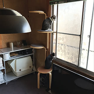 昭和 型板ガラスのインテリア実例 Roomclip ルームクリップ 昭和 型板ガラスのインテリア実例 Roomclip ルームクリップ