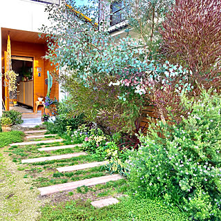 庭木の緑が好きのインテリア実例 Roomclip ルームクリップ