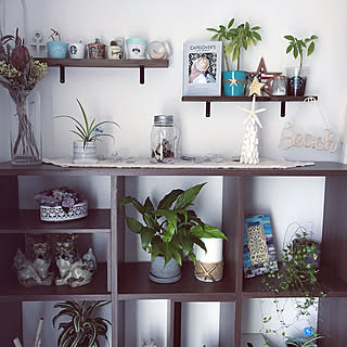 サーファーズハウス/雑貨/instagramと同じpic/Daiso/グリーンのある暮らし...などのインテリア実例 - 2020-02-24 20:43:48