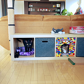 おもしろいのインテリア実例 Roomclip ルームクリップ