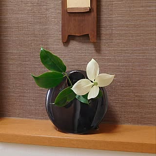保守的第四効率和風花瓶屋内でブレイズ前売