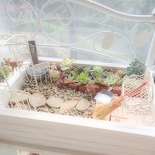 多肉植物 ミニガーデンのおしゃれなアレンジ 飾り方のインテリア実例 Roomclip ルームクリップ