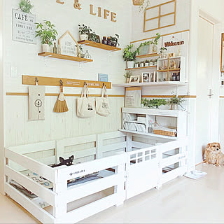 わんこの部屋のインテリア実例 Roomclip ルームクリップ