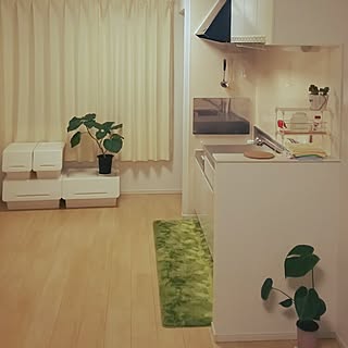 キッチン/ひとり暮らし/賃貸/大東建託/フロック...などのインテリア実例 - 2016-01-31 20:18:40