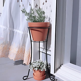 カーテン/ラベンダー/バルコニー/ベランダガーデン/海外インテリアに憧れる...などのインテリア実例 - 2019-04-18 17:12:14