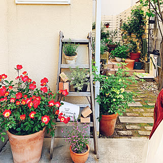 カクテルのインテリア実例 Roomclip ルームクリップ カクテルのインテリア実例 Roomclip ルームクリップ