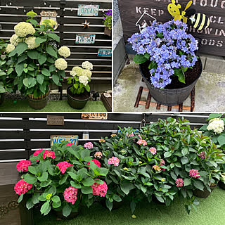 ジョイフル本田 コメリの商品を使ったおしゃれなインテリア実例 Roomclip ルームクリップ ジョイフル本田 コメリの商品を使ったおしゃれなインテリア実例 Roomclip ルームクリップ