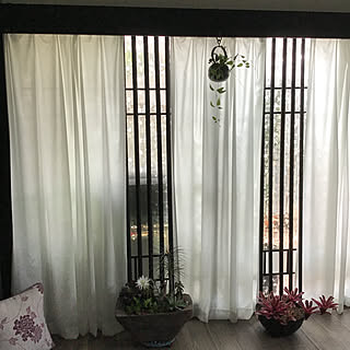 花工房 たんぽぽのおすすめ家具 インテリアの商品一覧 全4件 Roomclipショッピング