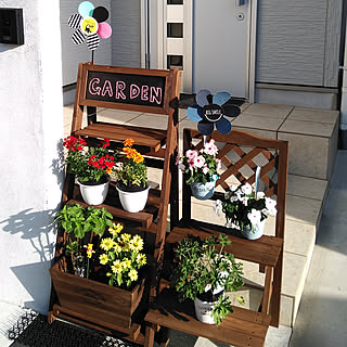 ニトリプランターのインテリア実例 Roomclip ルームクリップ