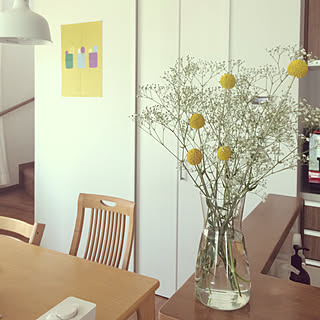 かすみ草/グラスペディア/お花のある暮らし/キッチンのインテリア実例 - 2019-05-30 13:41:11
