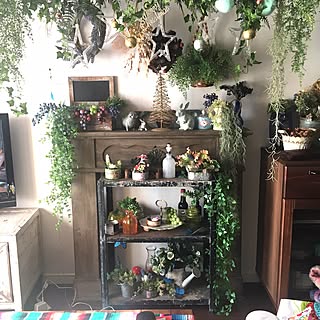 棚/フェイクフルーツ/マントルピース/クリスマスディスプレイ/ロマンチックが止まらない...などのインテリア実例 - 2016-12-25 10:22:36