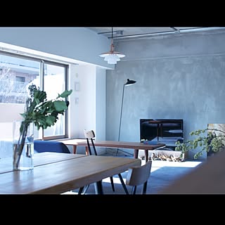 部屋全体/ルイスポールセン/NO GREEN NO LIFE/セルフペイント/へデラベリー...などのインテリア実例 - 2015-02-11 14:58:07