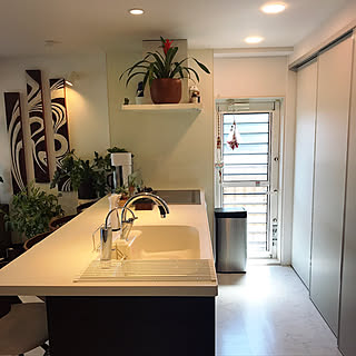 観葉植物 グズマニアのおしゃれなアレンジ 飾り方のインテリア実例 Roomclip ルームクリップ