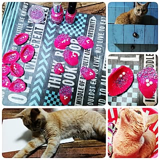 100均/100均DIY/いいね&フォローありがとうございます☆/六つ子同好会のインテリア実例 - 2017-05-06 15:49:53