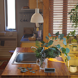 フローラ/キッチンカウンター/ユーカリポポラス/クリスマス準備/SCOPE...などのインテリア実例 - 2019-12-23 19:30:27