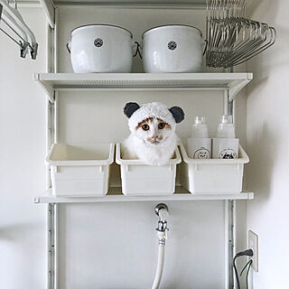 IKEA/洗面家事室/洗濯物干しスペース/猫のいる日常/ねこばかりすみませんm(._.)m...などのインテリア実例 - 2019-06-28 20:03:10