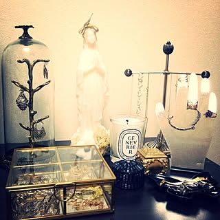 棚/Anthropologie/ガラスドーム/アクセサリーディスプレイ/Tse&Tse associees...などのインテリア実例 - 2014-01-17 22:00:20